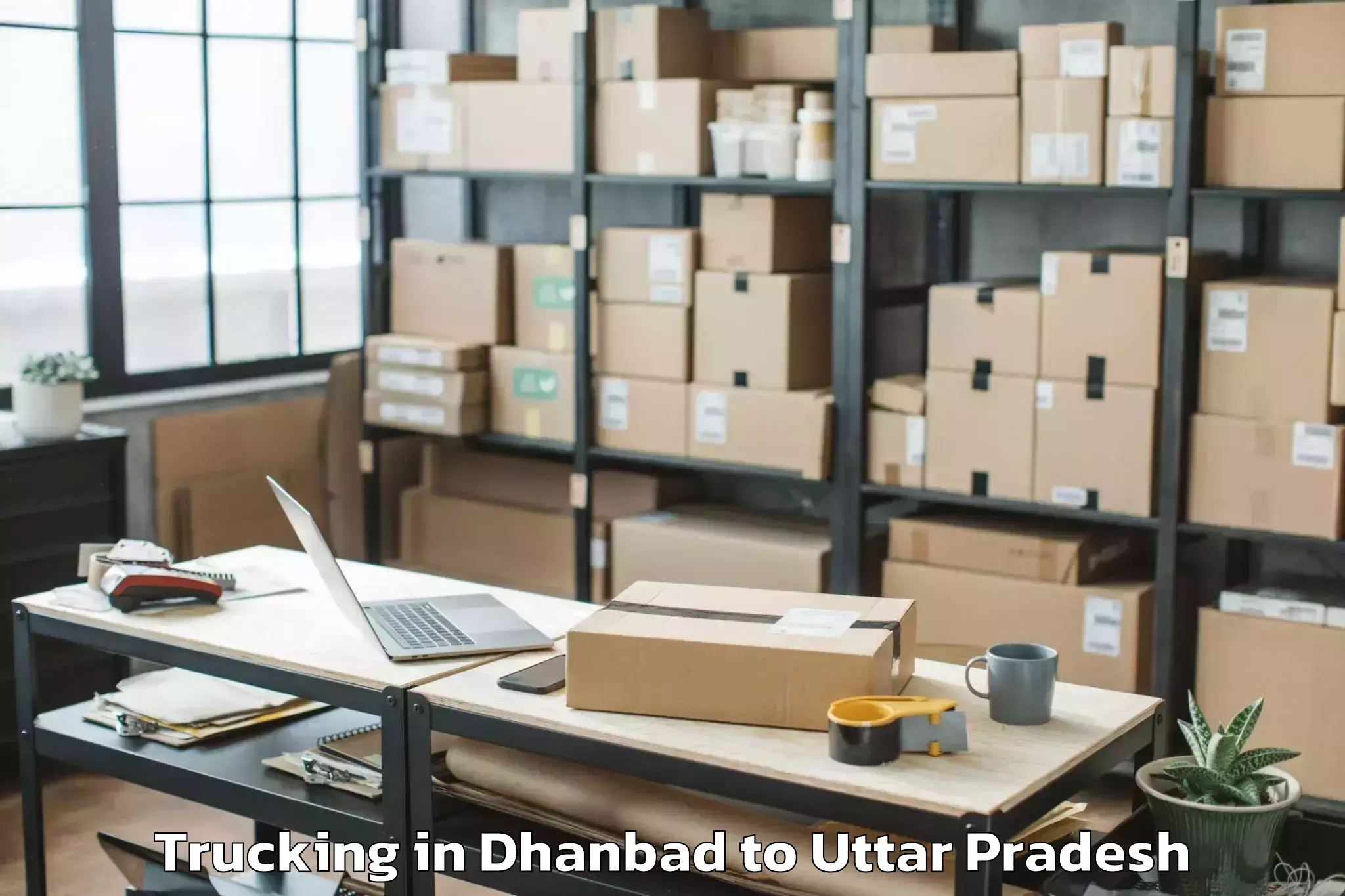 Book Dhanbad to Jhusi Trucking Online